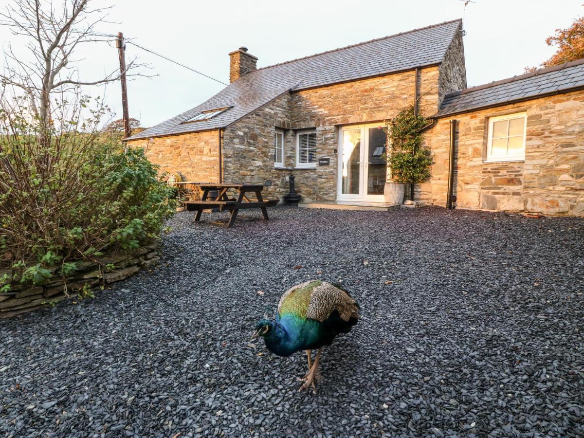 Tremadog Garth Morthin The Stablesヴィラ エクステリア 写真